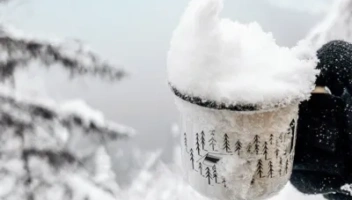 How To: Make Snow & Ice Safe for Drinking